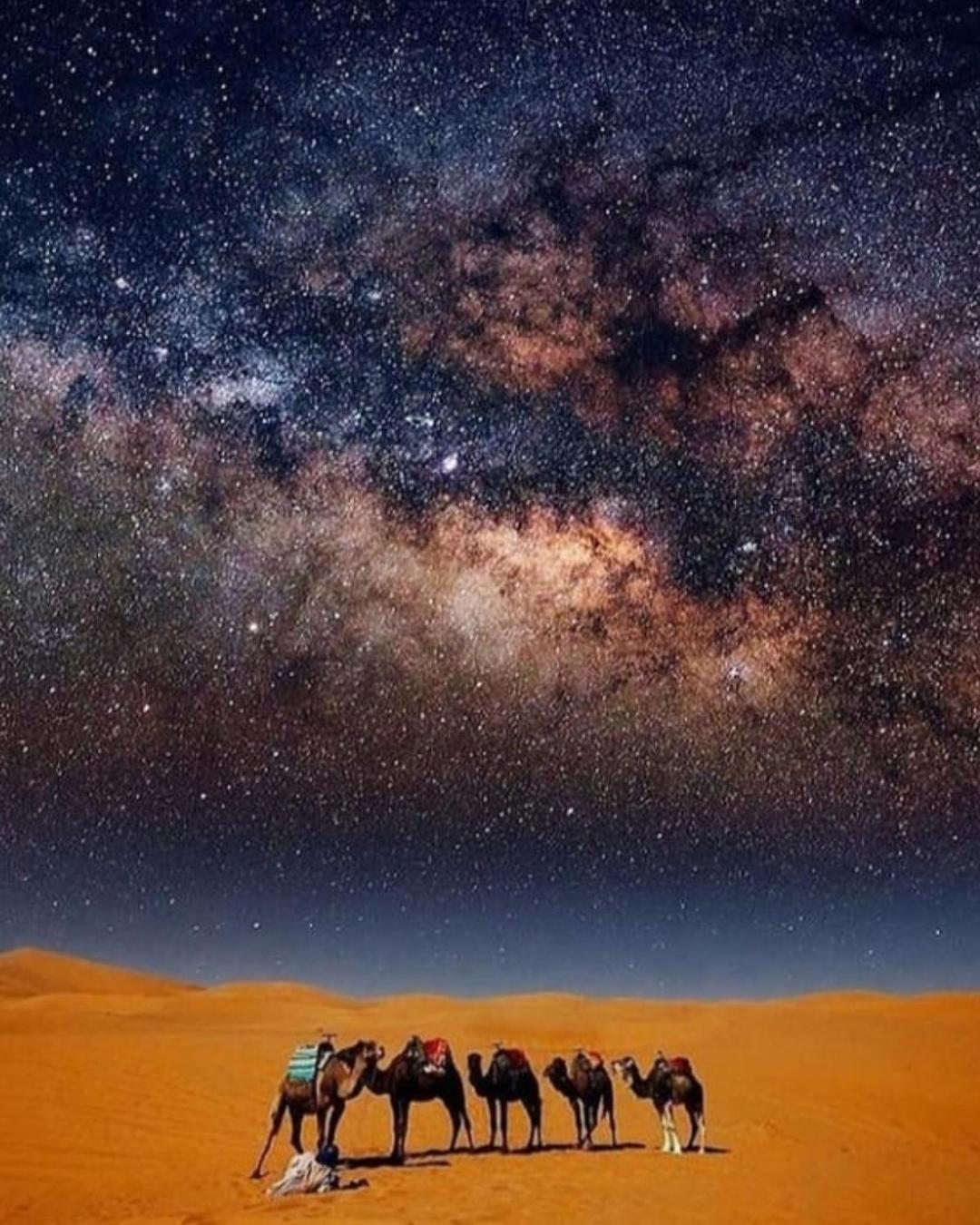 Overnight Desert Camp Merzouga Esterno foto